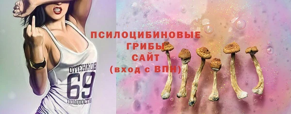 дживик Белоозёрский