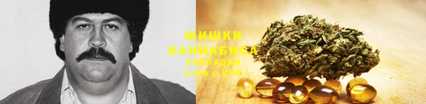 дживик Белоозёрский