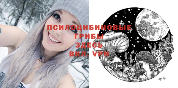 мяу мяу мука Белокуриха