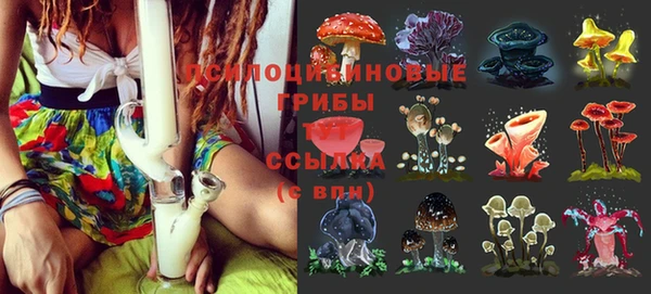 мяу мяу мука Белокуриха