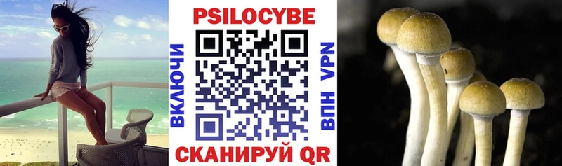 Галлюциногенные грибы ЛСД  купить наркоту  Кузнецк 